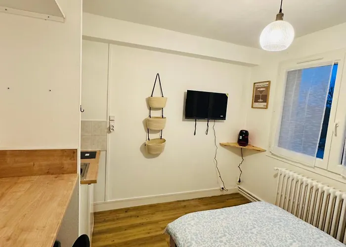 Joli Petit Proche Centre De - Brown Apartment Caen