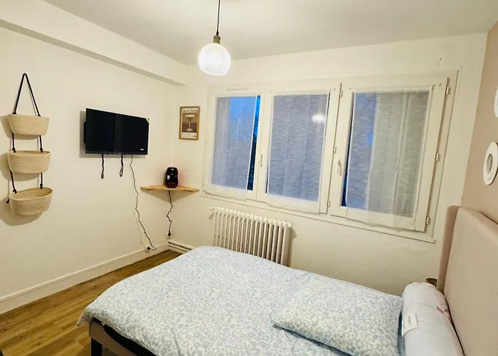 Joli Petit Proche Centre De - Brown Apartment *